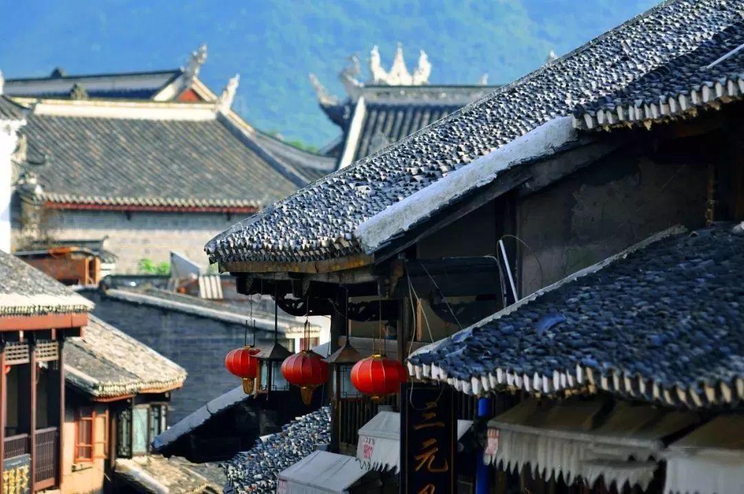 蜂王救援